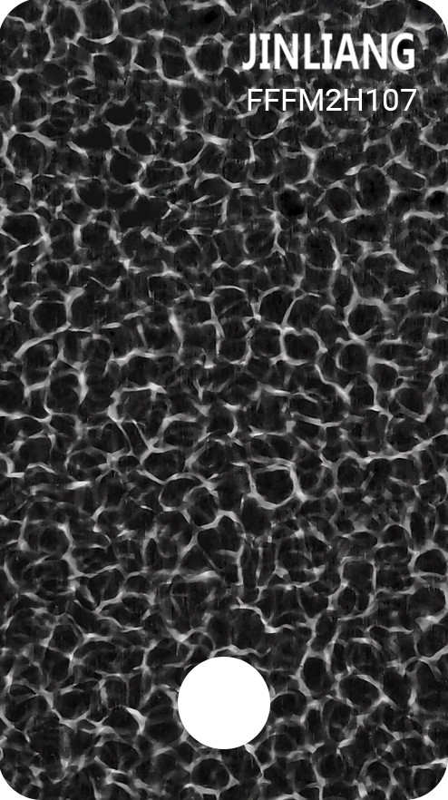 FFM2H107