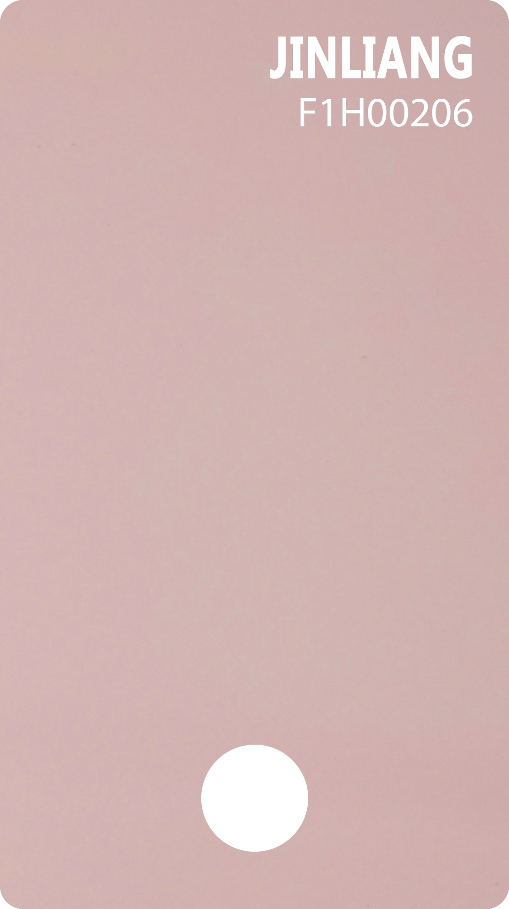 F1H00206