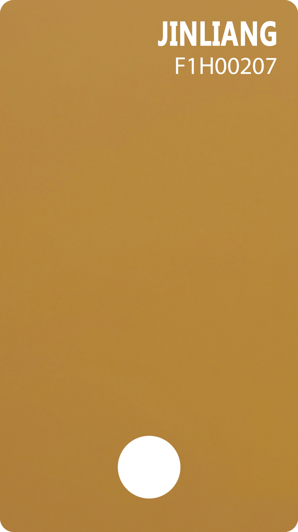 F1H00207